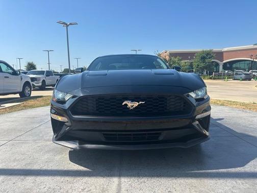 2019 Ford Mustang EcoBoost