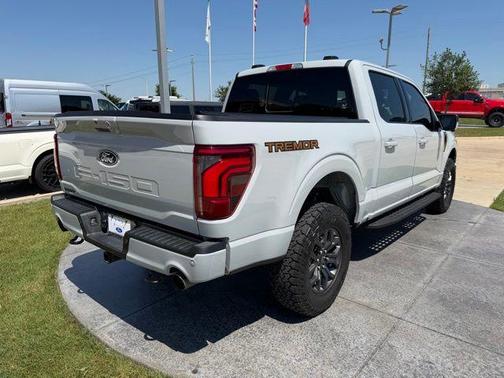 Avalanche Gray 2024 Ford F-150 Tremor