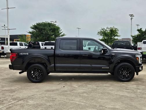 AGATE BLACK METALLIC 2025 Ford F-150 PLATINUM