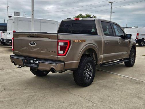 Stone Gray Metallic 2022 Ford F-150 Tremor
