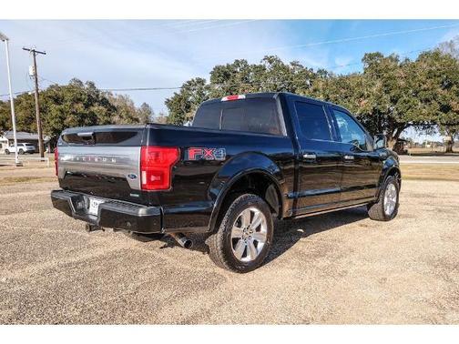 2019 Ford F-150 PLATINUM