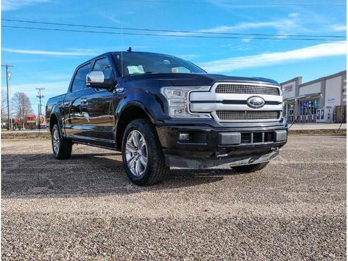 2019 Ford F-150 PLATINUM