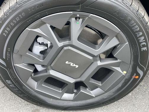 Panthera Metal 2026 Kia Carnival Hybrid EX