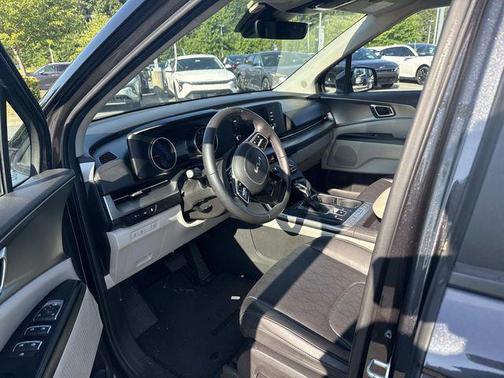 Panthera Metal 2023 Kia Carnival LX