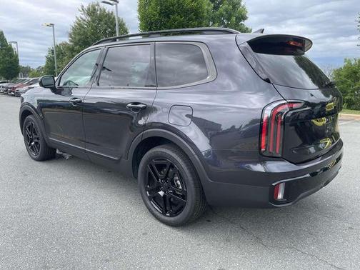 Panthera Metal 2025 Kia Telluride SX X-Line