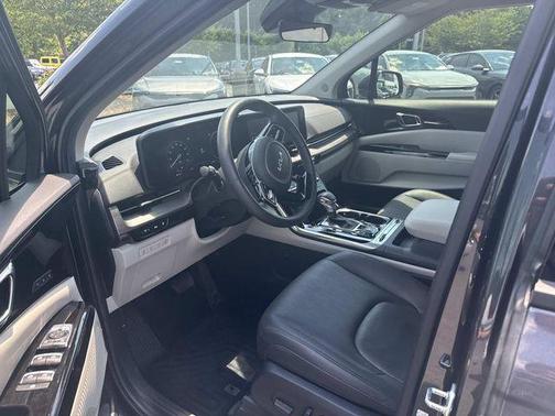 Panthera Metal 2024 Kia Carnival SX