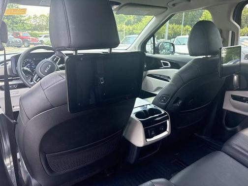 Panthera Metal 2024 Kia Carnival SX