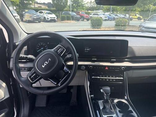 Panthera Metal 2024 Kia Carnival SX
