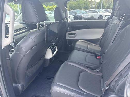 Panthera Metal 2024 Kia Carnival SX