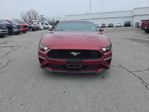 2019 Ford Mustang EcoBoost