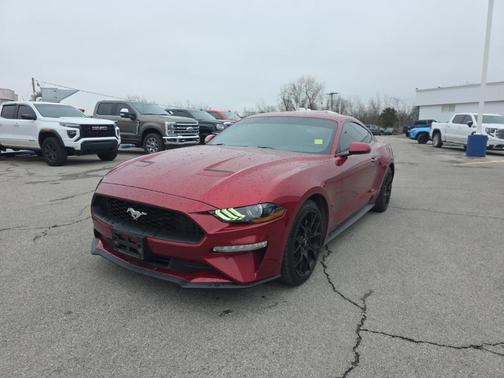 2019 Ford Mustang EcoBoost