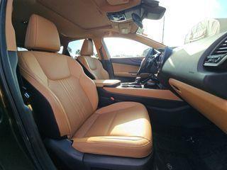 Green Pearl 2024 Lexus NX 250 Premium