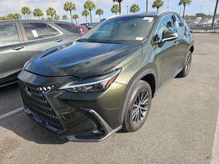 Green Pearl 2024 Lexus NX 250 Premium
