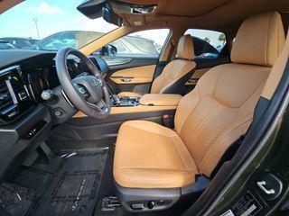 Green Pearl 2024 Lexus NX 250 Premium