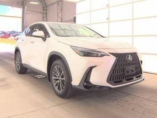 2024 Lexus NX 250 Base