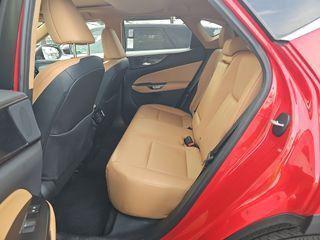 2024 Lexus NX 250 Premium