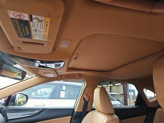 2024 Lexus NX 250 Premium