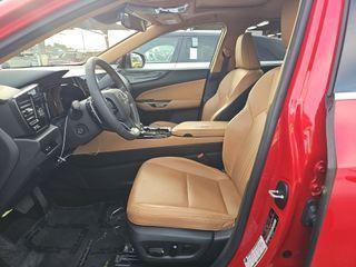 2024 Lexus NX 250 Premium