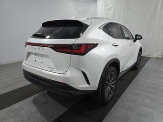 2024 Lexus NX 350 350 Base