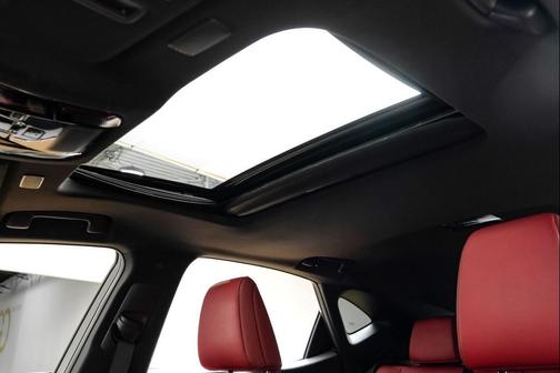 2023 Lexus NX 250 Premium