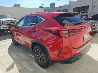 2024 Lexus NX 250 Base