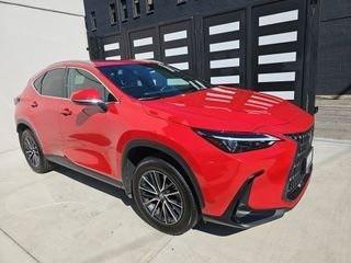 2024 Lexus NX 250 Base