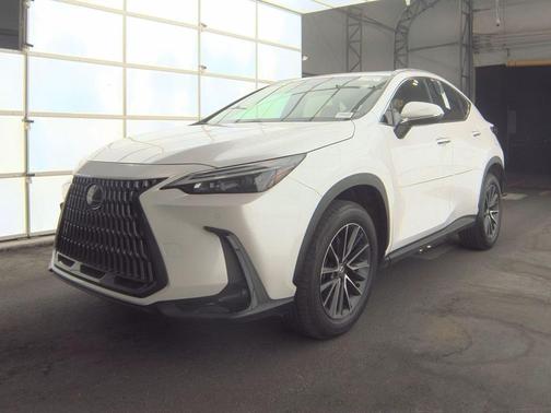2025 Lexus NX 250 Premium