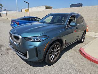 Blue Ridge Mountain Metallic 2025 BMW X5 sDrive40i