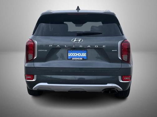 Rainforest 2022 Hyundai PALISADE Limited