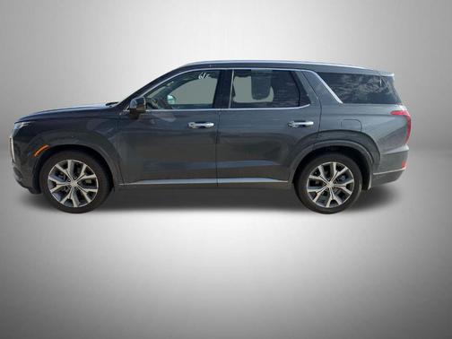 Rainforest 2022 Hyundai PALISADE Limited