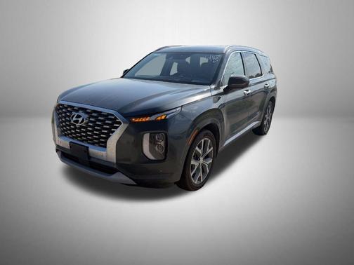 Rainforest 2022 Hyundai PALISADE Limited