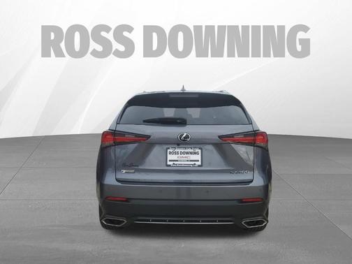 2021 Lexus NX 300 F Sport