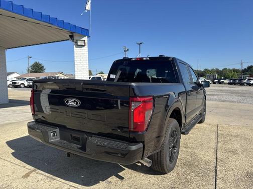 Agate Black Metallic 2025 Ford F-150 STX