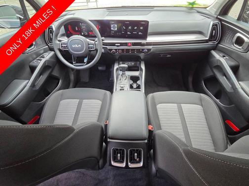 Panthera Metal 2025 Kia Sorento LX