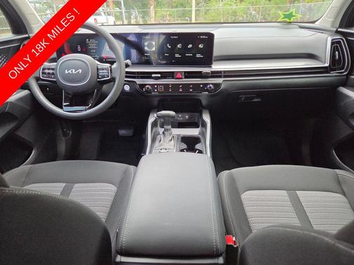 Panthera Metal 2025 Kia Sorento LX