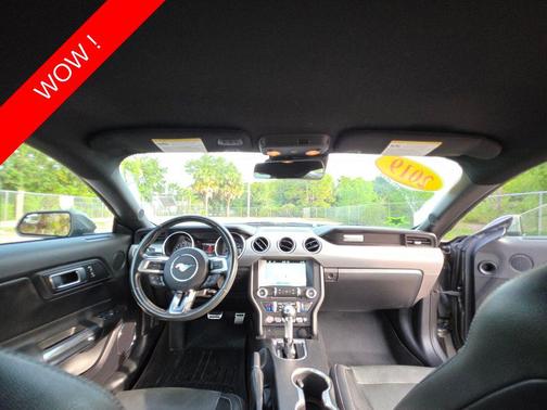MAGNETIC METALLIC 2019 Ford Mustang EcoBoost Premium
