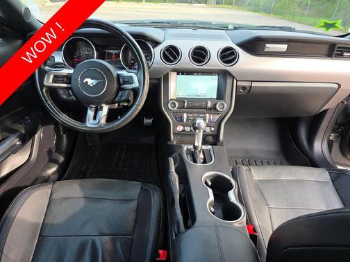 MAGNETIC METALLIC 2019 Ford Mustang EcoBoost Premium