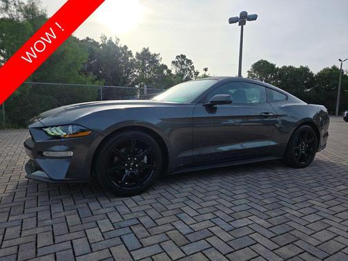 MAGNETIC METALLIC 2019 Ford Mustang EcoBoost Premium