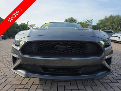 MAGNETIC METALLIC 2019 Ford Mustang EcoBoost Premium