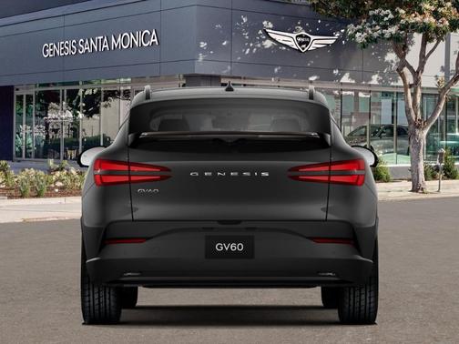 Vik Black 2026 Genesis GV60 Advanced 20"