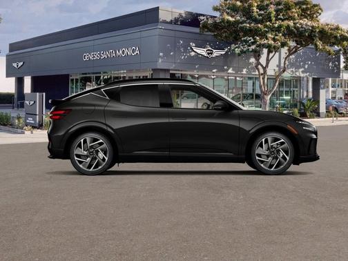 Vik Black 2026 Genesis GV60 Advanced 20"