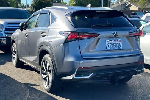 Nebula Gray Pearl 2021 Lexus NX 300h Base