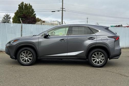 Nebula Gray Pearl 2019 Lexus NX 300 F Sport