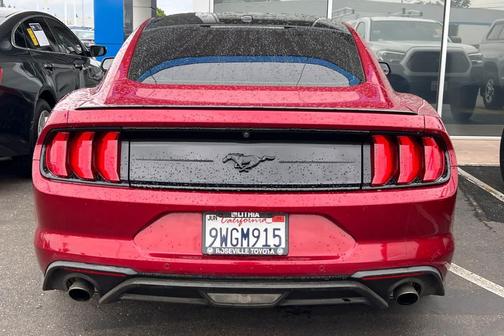 Ruby Red Metallic Tinted Clearcoat 2019 Ford Mustang EcoBoost Premium