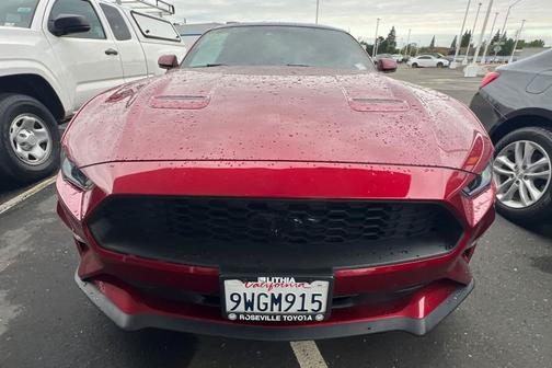 Ruby Red Metallic Tinted Clearcoat 2019 Ford Mustang EcoBoost Premium