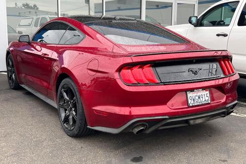 Ruby Red Metallic Tinted Clearcoat 2019 Ford Mustang EcoBoost Premium