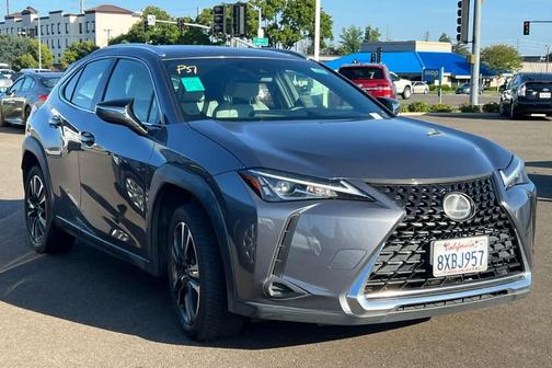 Nebula Gray Pearl 2020 Lexus UX 200 Base