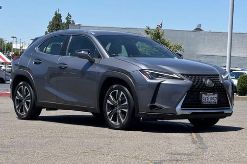 Nebula Gray Pearl 2020 Lexus UX 200 Base