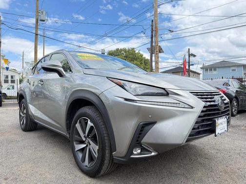 Nebula Gray Pearl 2019 Lexus NX 300 F Sport