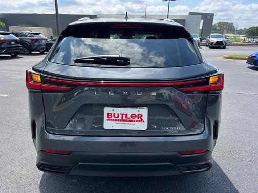 Cloudburst Gray 2023 Lexus NX 350 Premium